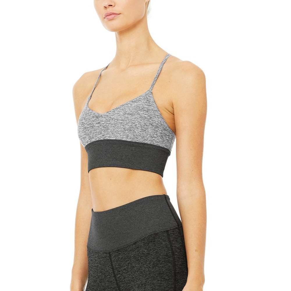 Alo Soft Lush Bra in Dark Heather and Dove Gray